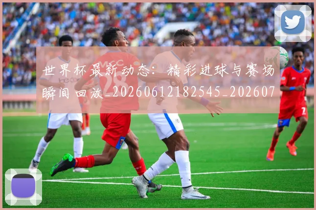 世界杯最新动态：精彩进球与赛场瞬间回放_20260612182545_20260702174250