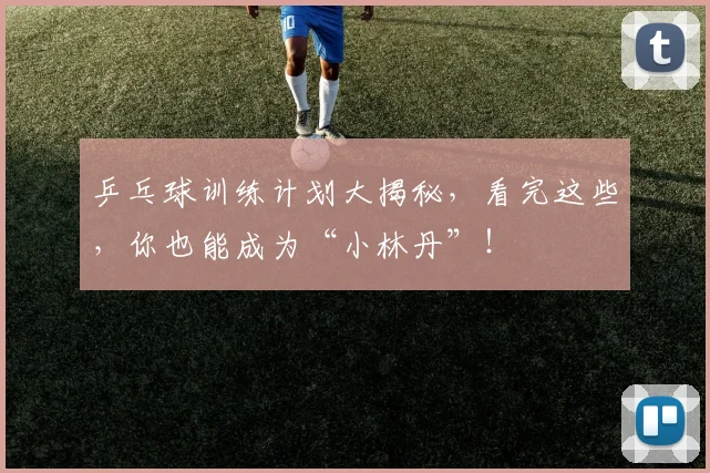 乒乓球训练计划大揭秘,看完这些,你也能成为“小林丹”!